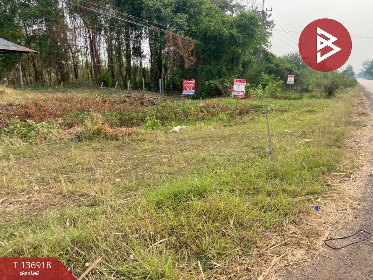 ขายที่ดิน เนื้อที่ 1 ไร่ หนองบัว นครสวรรค์ 13