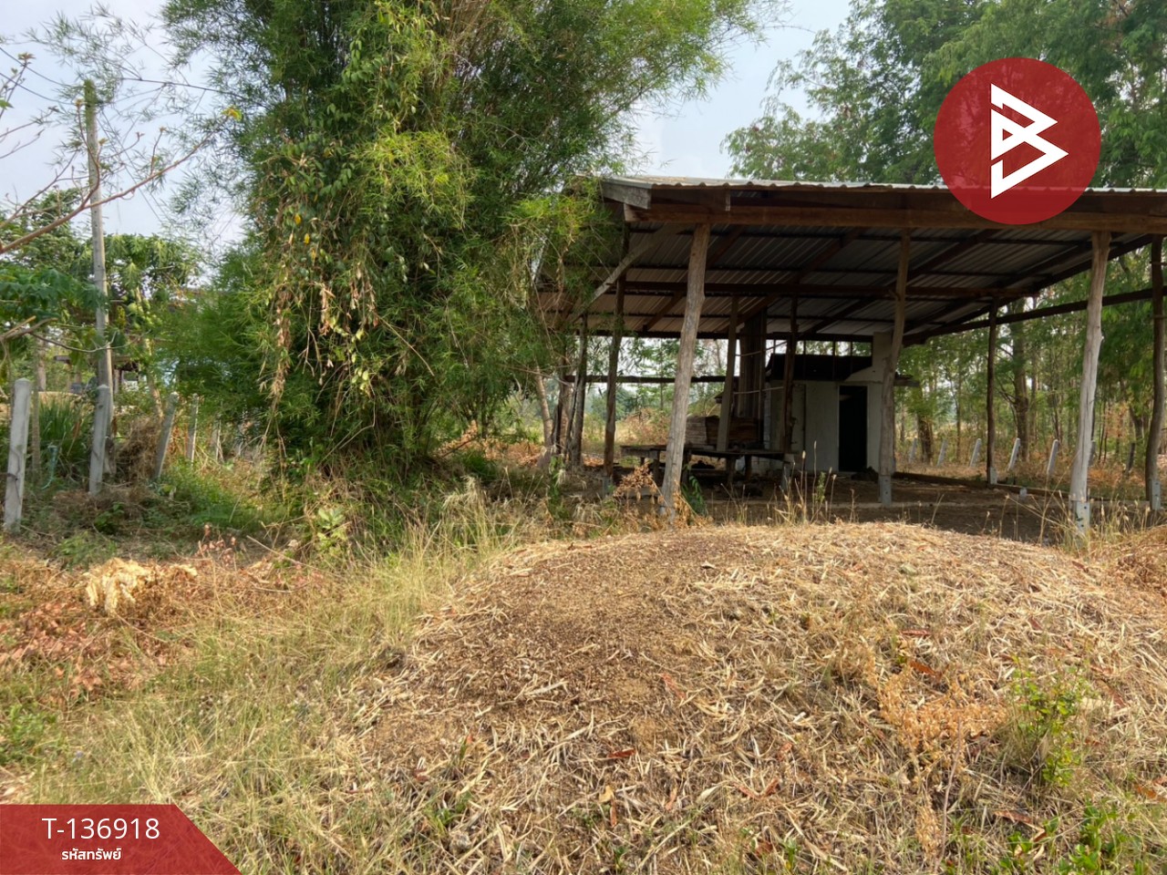 ขายที่ดิน เนื้อที่ 1 ไร่ หนองบัว นครสวรรค์ 7