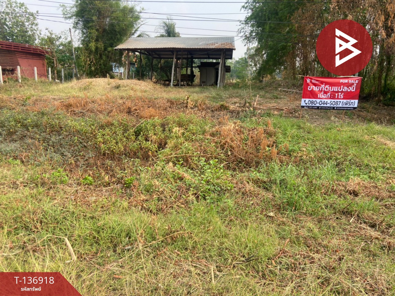 ขายที่ดิน เนื้อที่ 1 ไร่ หนองบัว นครสวรรค์ 1