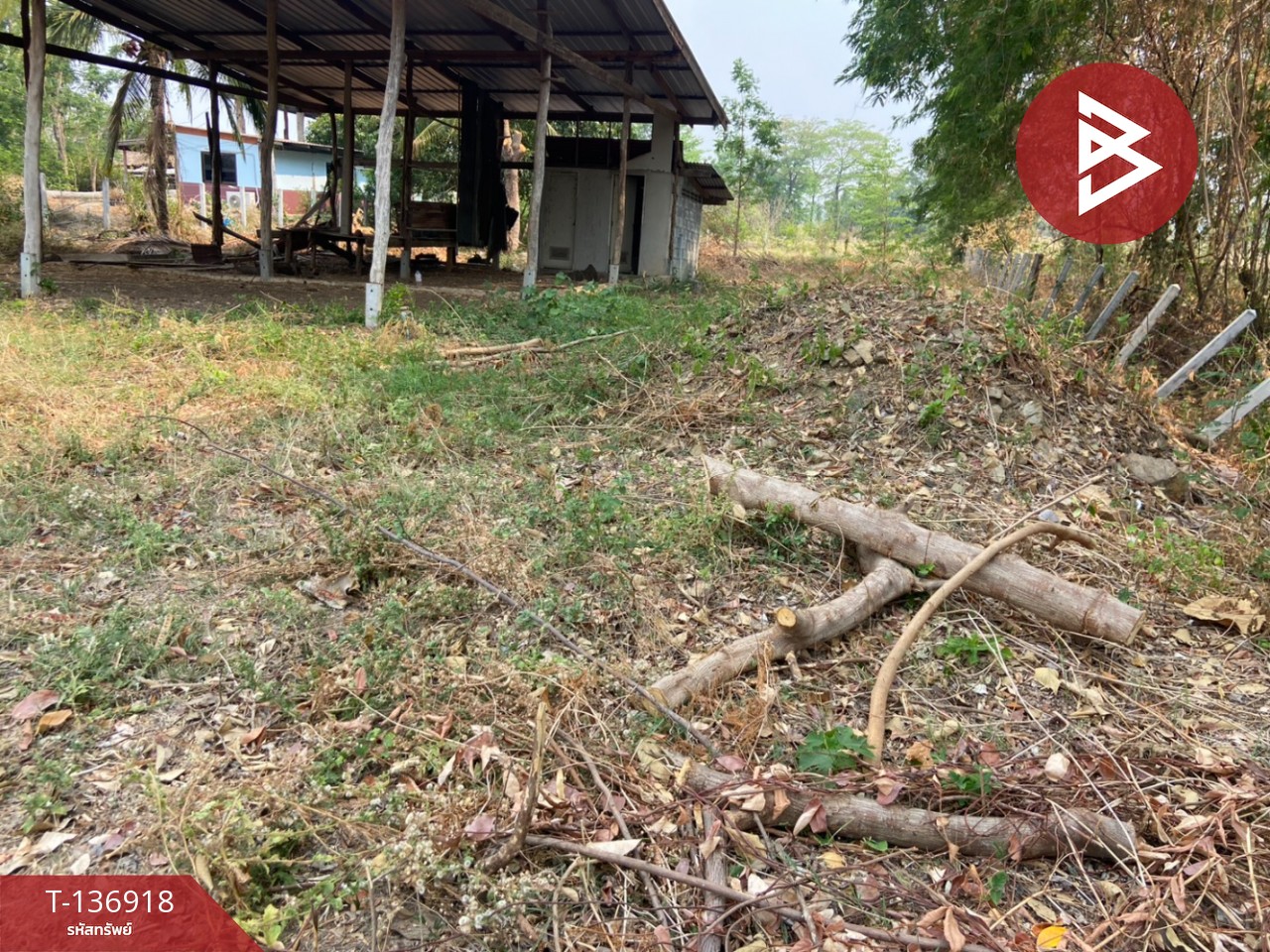 ขายที่ดิน เนื้อที่ 1 ไร่ หนองบัว นครสวรรค์ 5