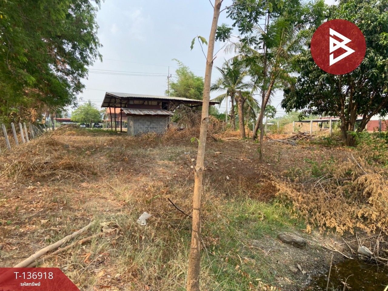 ขายที่ดิน เนื้อที่ 1 ไร่ หนองบัว นครสวรรค์ 15