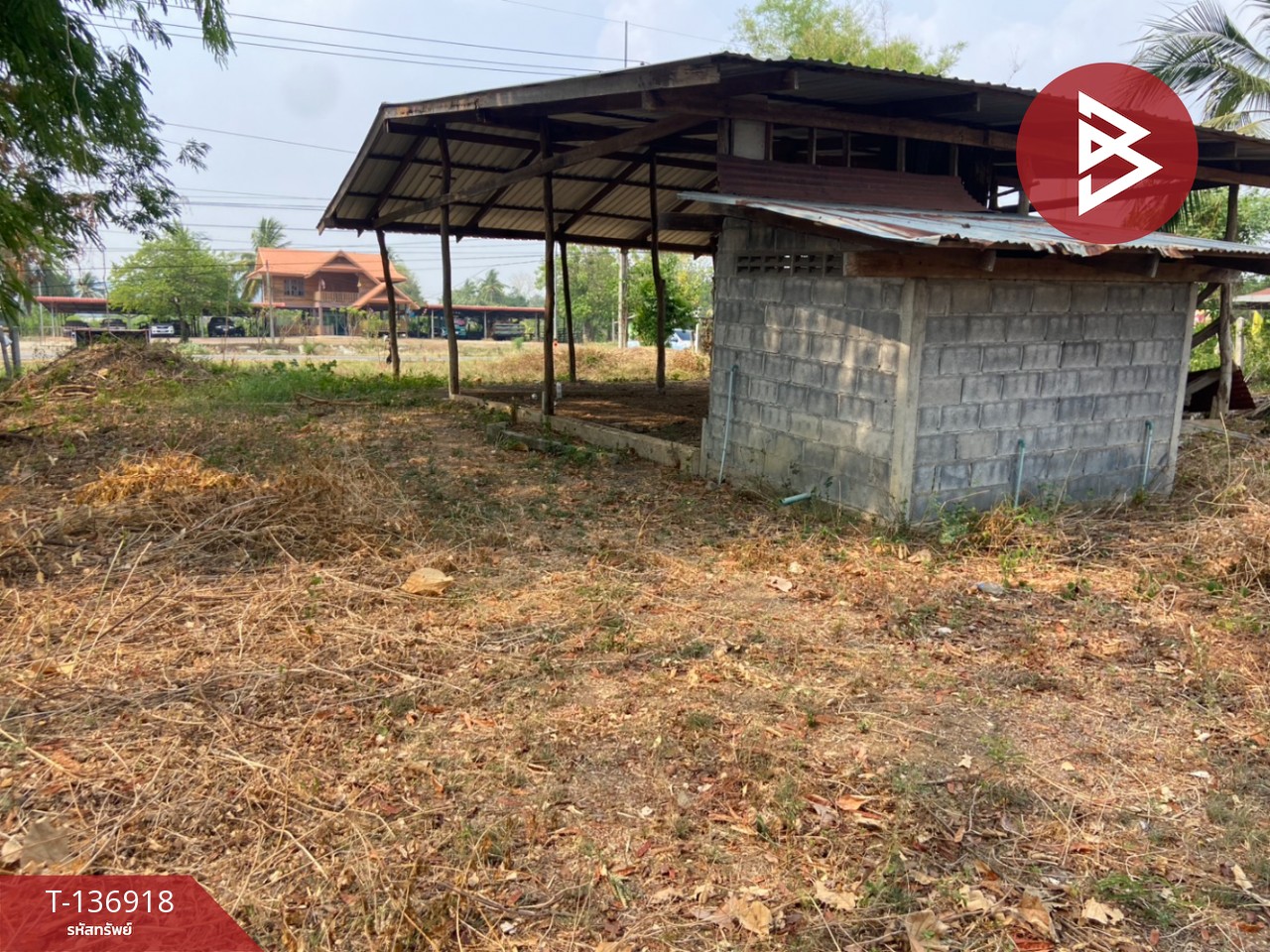 ขายที่ดิน เนื้อที่ 1 ไร่ หนองบัว นครสวรรค์ 6