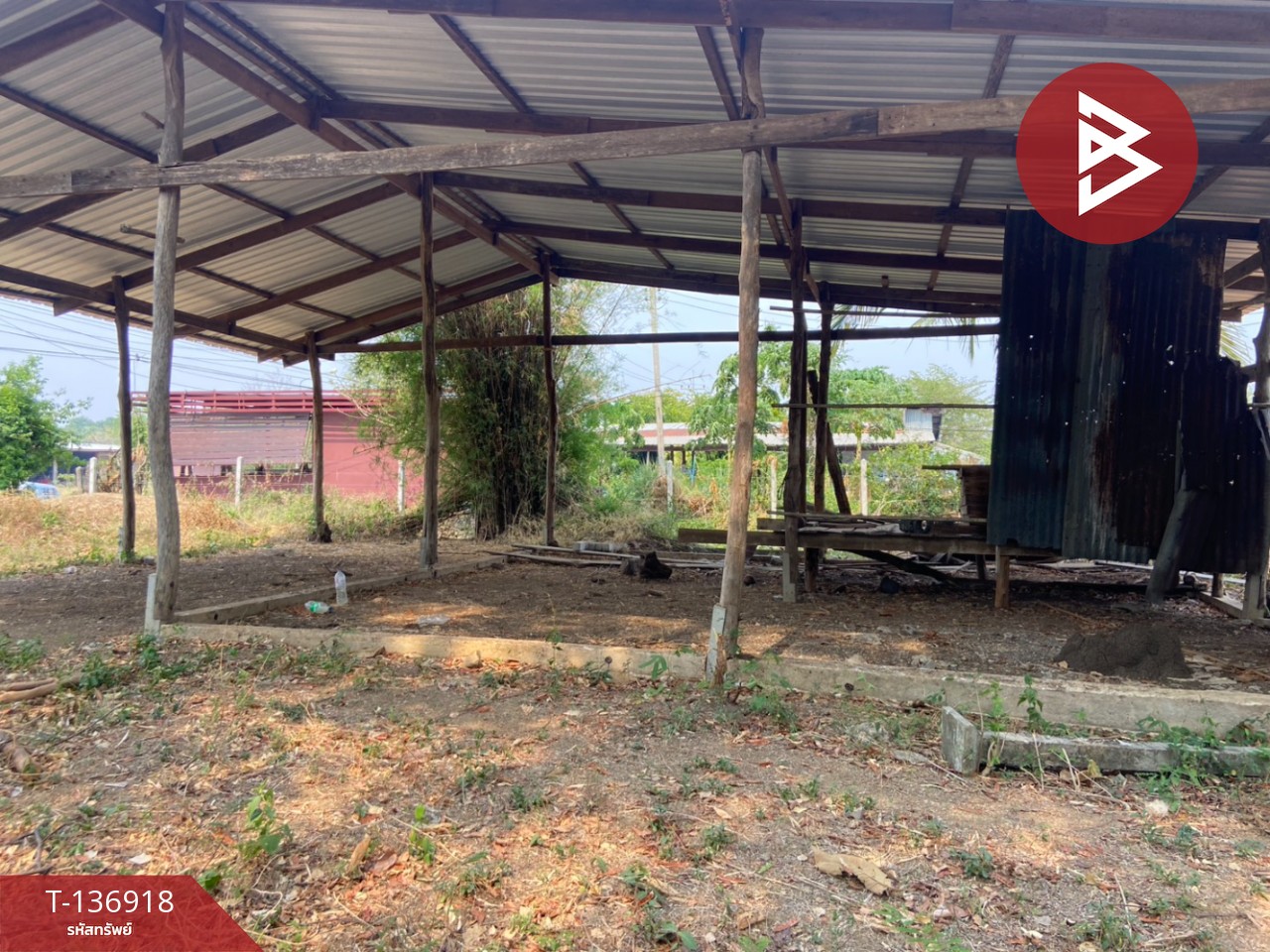 ขายที่ดิน เนื้อที่ 1 ไร่ หนองบัว นครสวรรค์ 9