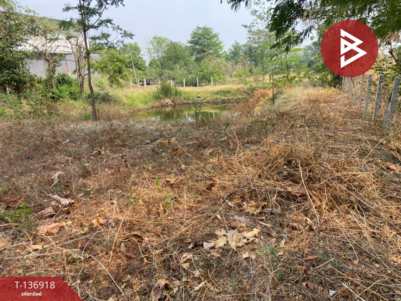 ขายที่ดิน เนื้อที่ 1 ไร่ หนองบัว นครสวรรค์ 10