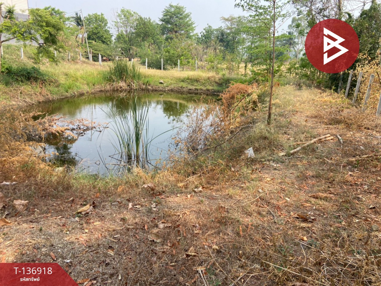 ขายที่ดิน เนื้อที่ 1 ไร่ หนองบัว นครสวรรค์ 11