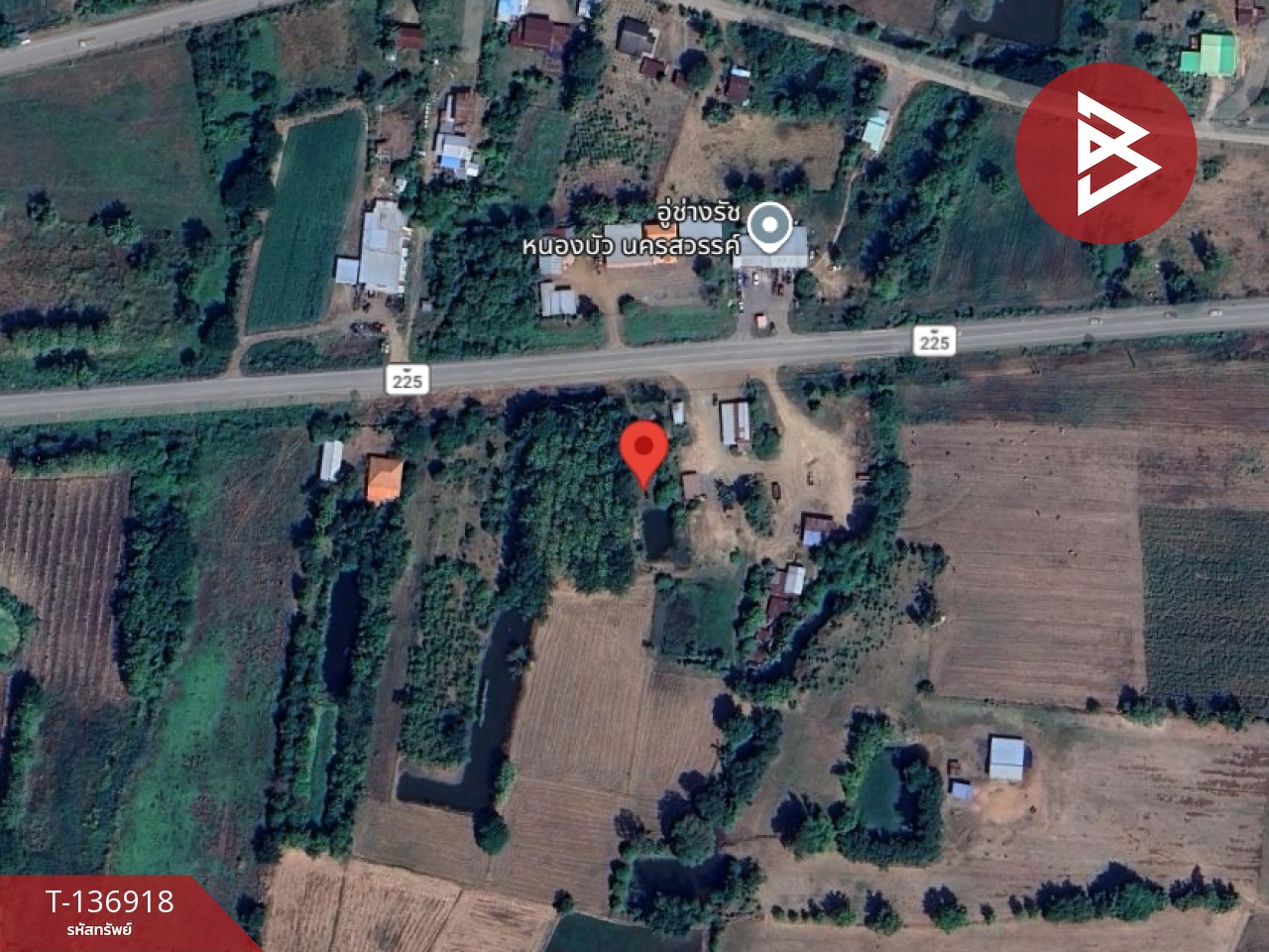 ขายที่ดิน เนื้อที่ 1 ไร่ หนองบัว นครสวรรค์ 14