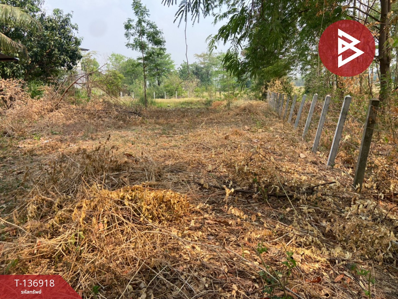 ขายที่ดิน เนื้อที่ 1 ไร่ หนองบัว นครสวรรค์ 12