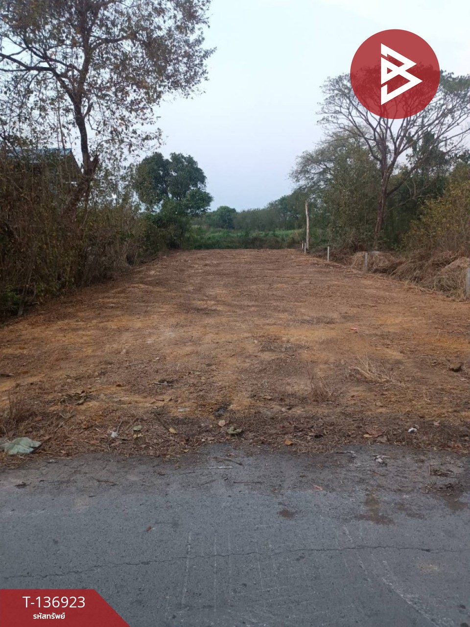 ขายที่ดิน เนื้อที่ 1 งาน 14 ตร.วา วังตะเคียน ฉะเชิงเทรา 7