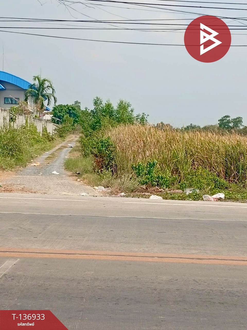 ขายที่ดิน เนื้อที่ 9 ไร่ 3 งาน 17.6 ตร.วา พระสมุทรเจดีย์ สมุทรปราการ 6