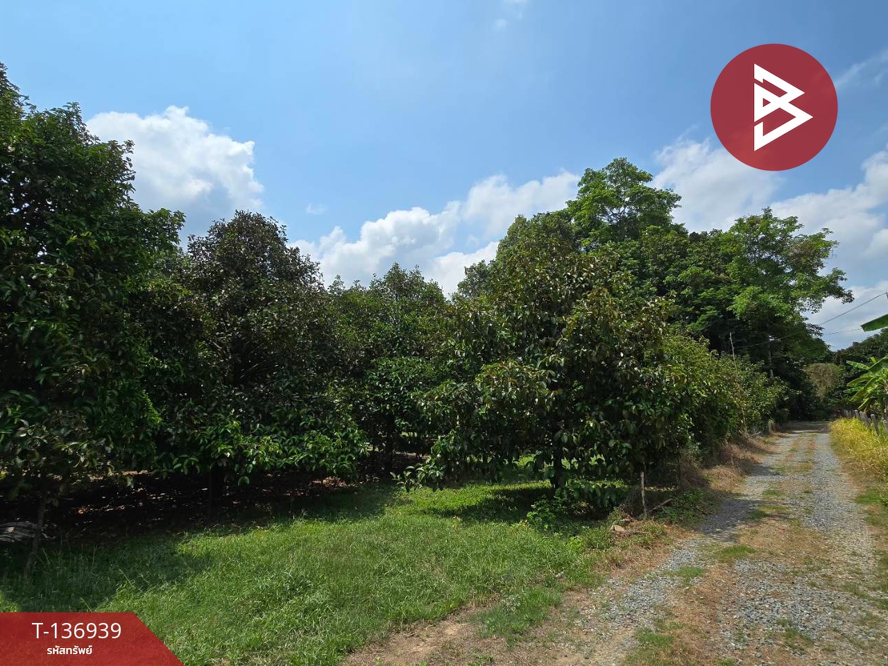 ขายที่ดิน เนื้อที่ 1 ไร่ 2 งาน 82 ตร.วา มะขาม จันทบุรี 6