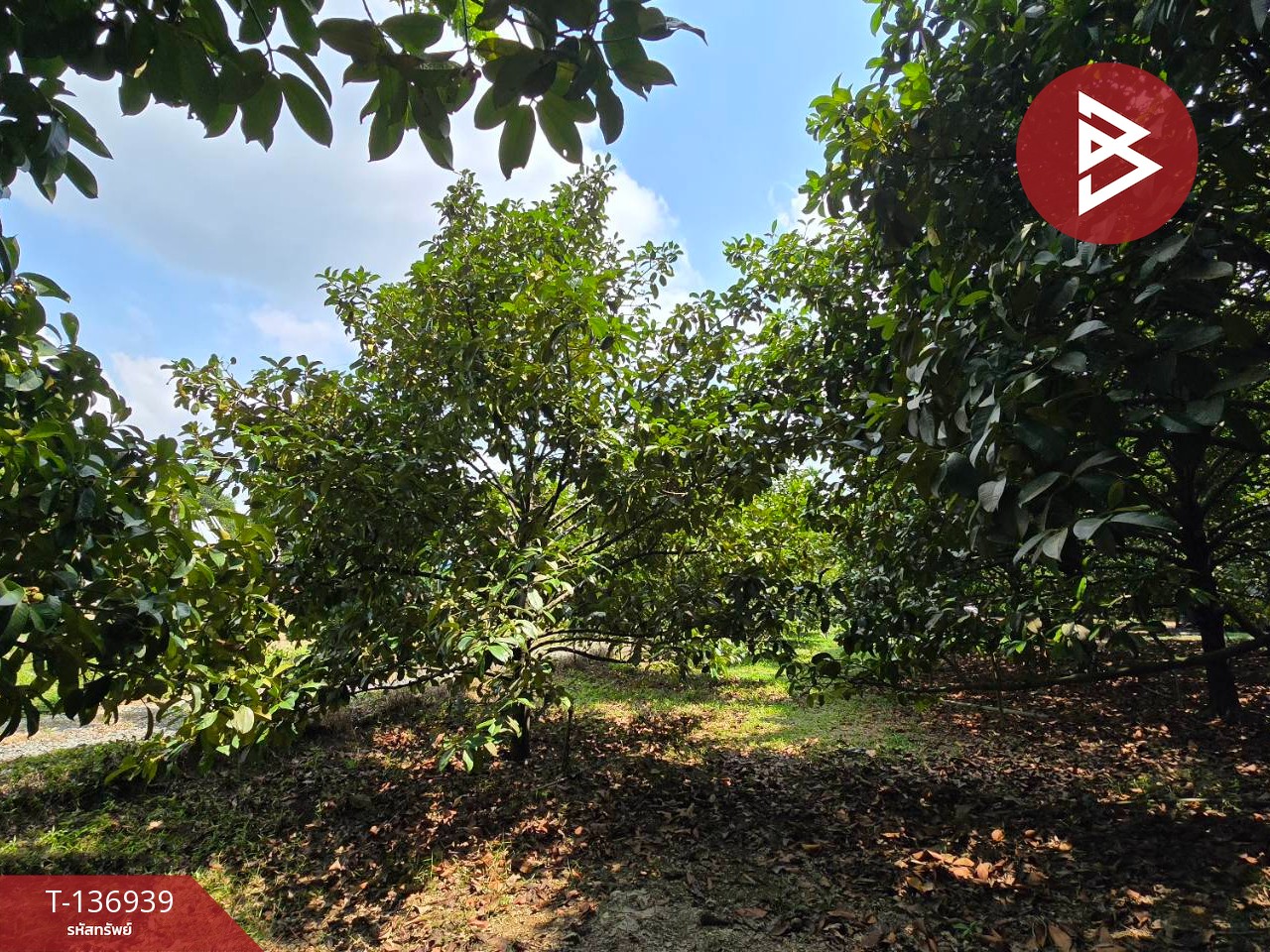 ขายที่ดิน เนื้อที่ 1 ไร่ 2 งาน 82 ตร.วา มะขาม จันทบุรี 8