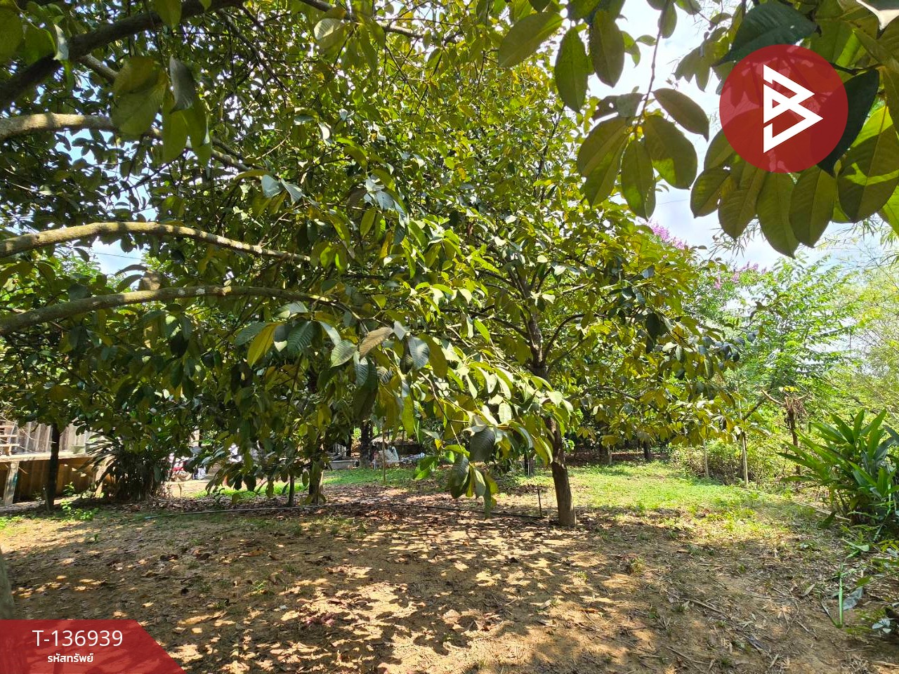 ขายที่ดิน เนื้อที่ 1 ไร่ 2 งาน 82 ตร.วา มะขาม จันทบุรี 15