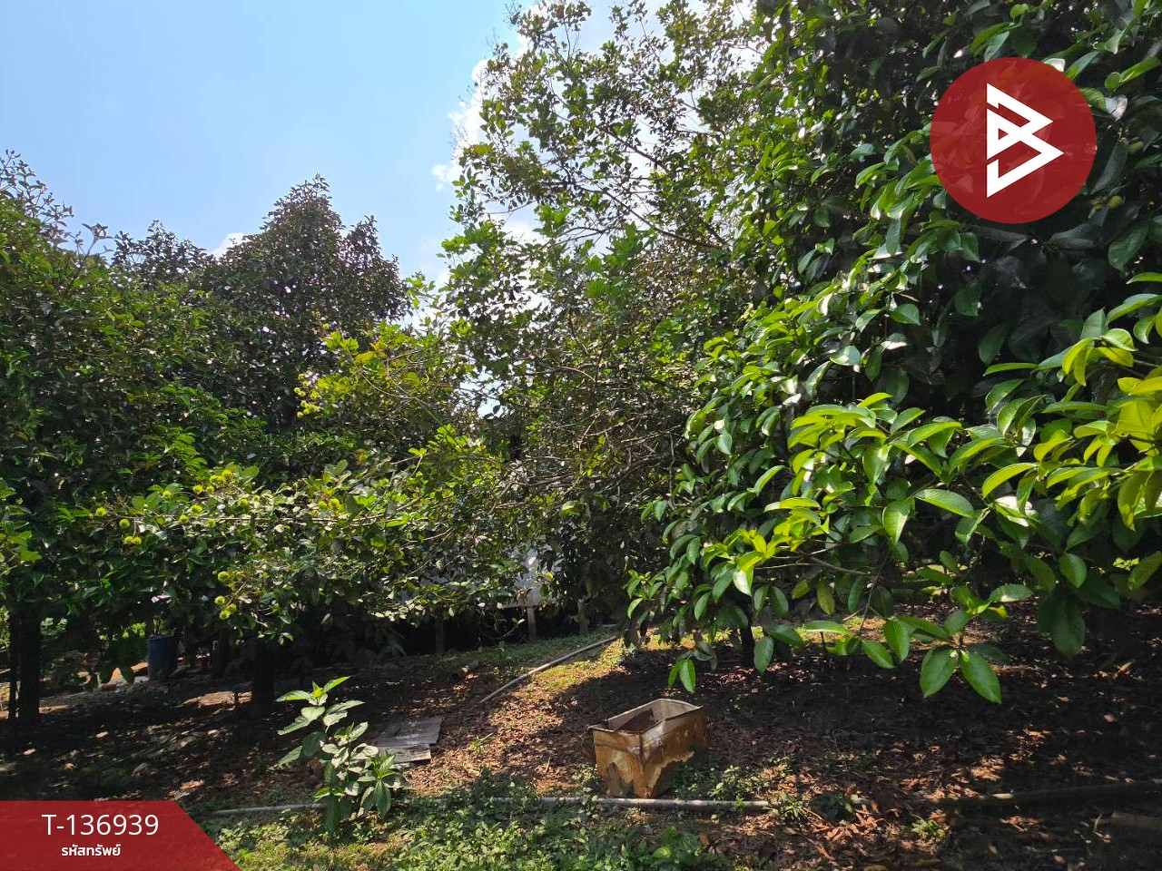 ขายที่ดิน เนื้อที่ 1 ไร่ 2 งาน 82 ตร.วา มะขาม จันทบุรี 10