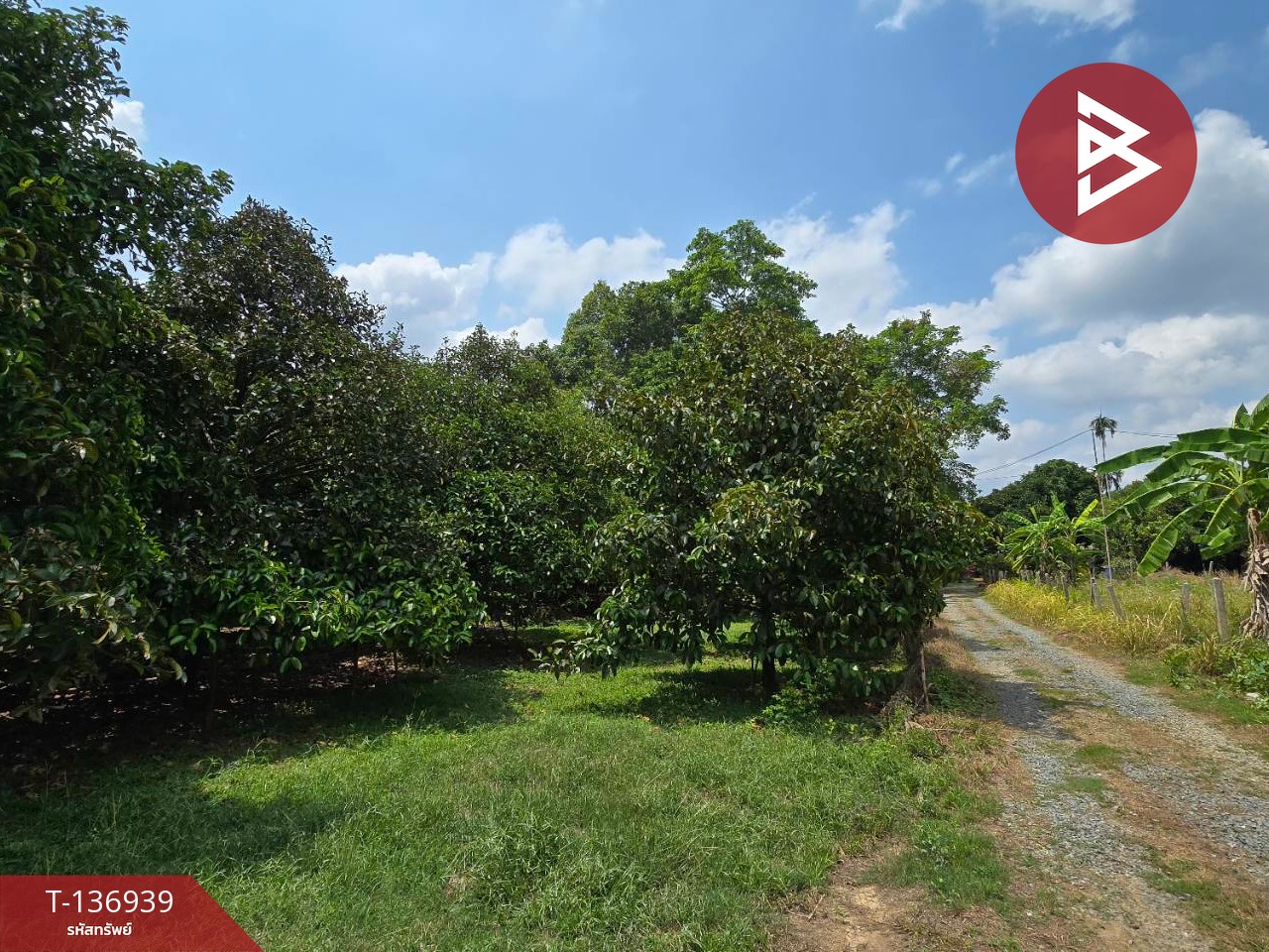 ขายที่ดิน เนื้อที่ 1 ไร่ 2 งาน 82 ตร.วา มะขาม จันทบุรี 7