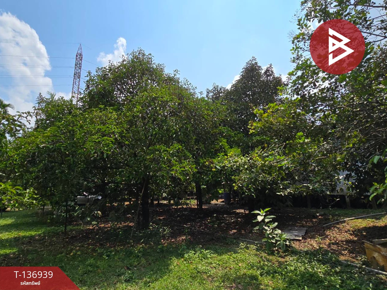 ขายที่ดิน เนื้อที่ 1 ไร่ 2 งาน 82 ตร.วา มะขาม จันทบุรี 4