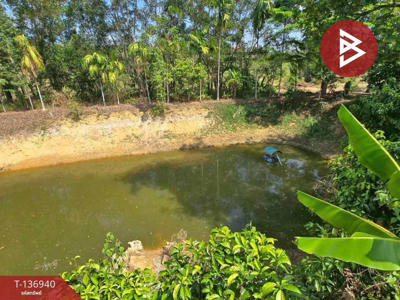 ขายบ้านเดี่ยวพร้อมสวนทุเรียน เนื้อที่ 4 ไร่ โป่งน้ำร้อน จันทบุรี 15