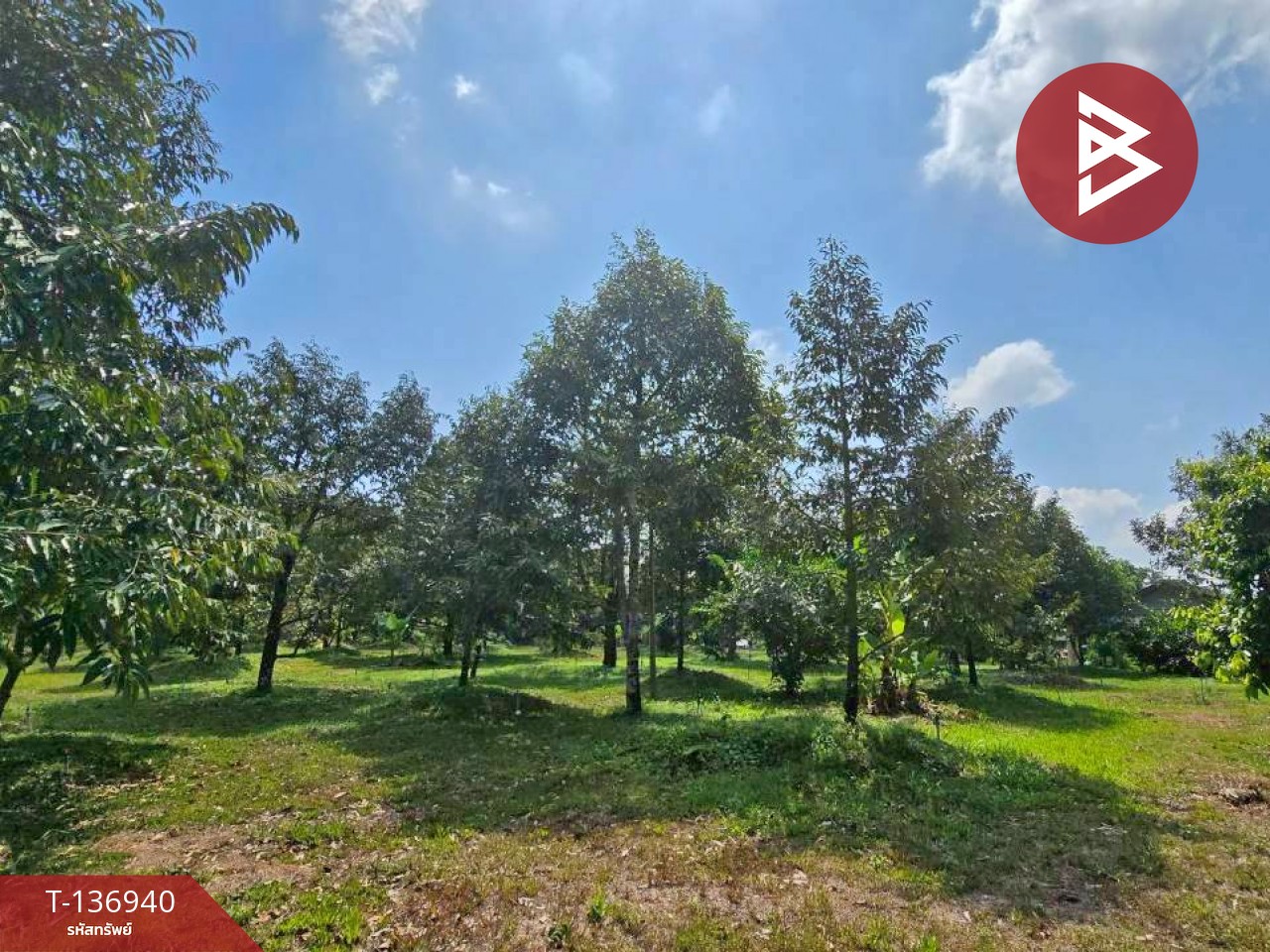 ขายบ้านเดี่ยวพร้อมสวนทุเรียน เนื้อที่ 4 ไร่ โป่งน้ำร้อน จันทบุรี 8