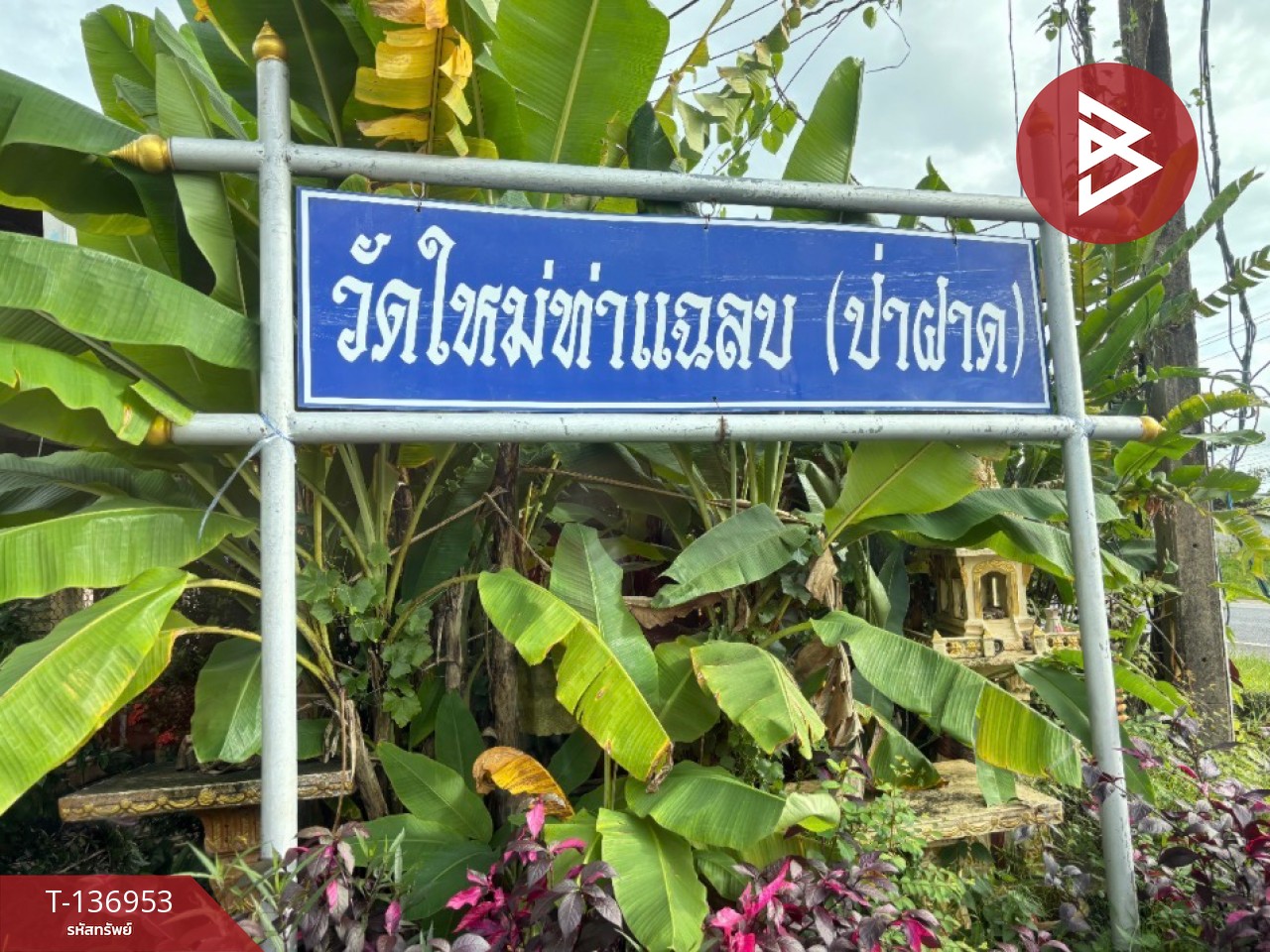 ขายที่ดิน เนื้อที่ 62.6 ตร.วา บางกะจะ จันทบุรี 8