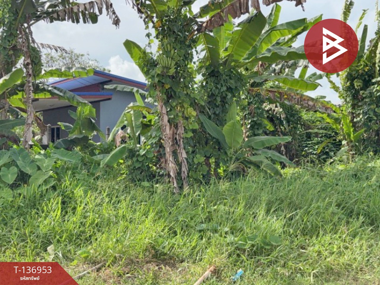 ขายที่ดิน เนื้อที่ 62.6 ตร.วา บางกะจะ จันทบุรี 4