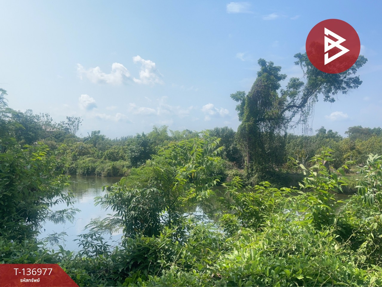 ขายที่ดิน เนื้อที่ 5 ไร่ 13 ตร.วา ตะพง ระยอง 1