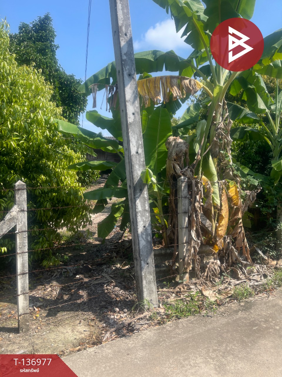 ขายที่ดิน เนื้อที่ 5 ไร่ 13 ตร.วา ตะพง ระยอง 5