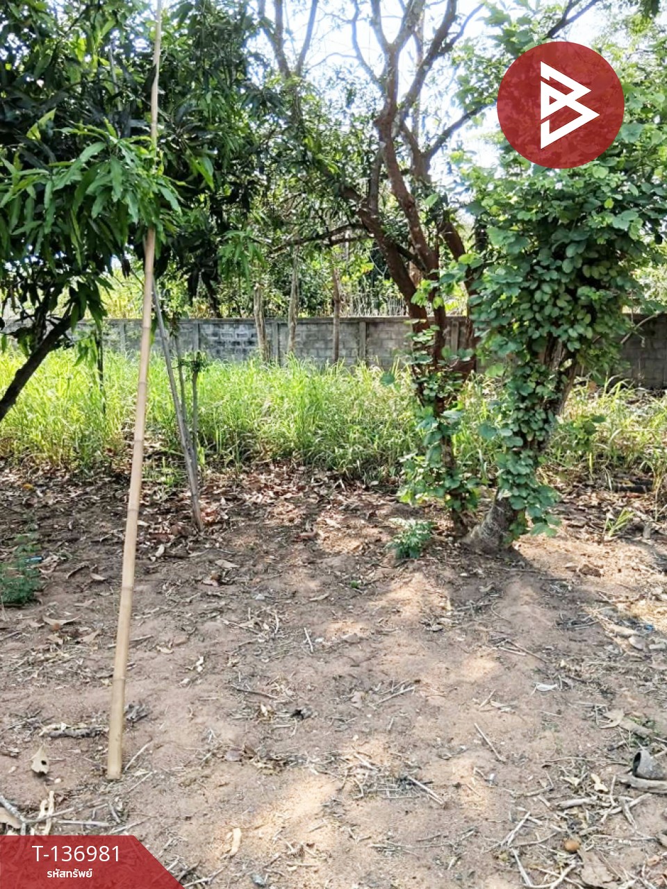 ขายด่วนบ้านเดี่ยวพร้อมที่ดิน เนื้อที่ 183 ตารางวา อ.แม่พริก ลำปาง 12