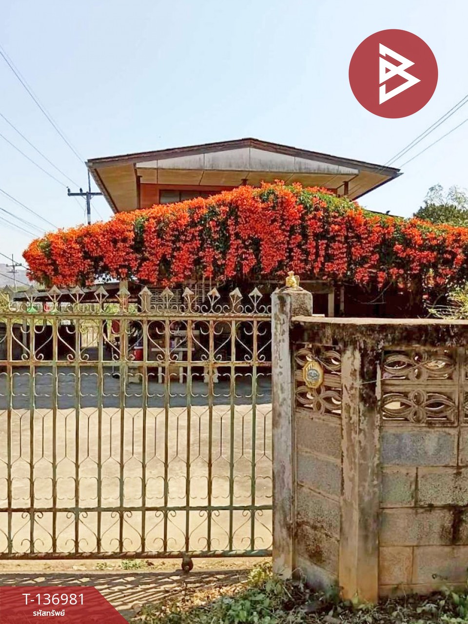 ขายด่วนบ้านเดี่ยวพร้อมที่ดิน เนื้อที่ 183 ตารางวา อ.แม่พริก ลำปาง 1