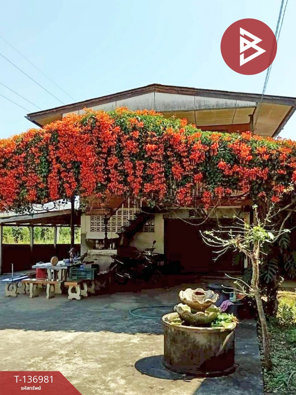 ขายด่วนบ้านเดี่ยวพร้อมที่ดิน เนื้อที่ 183 ตารางวา อ.แม่พริก ลำปาง 2