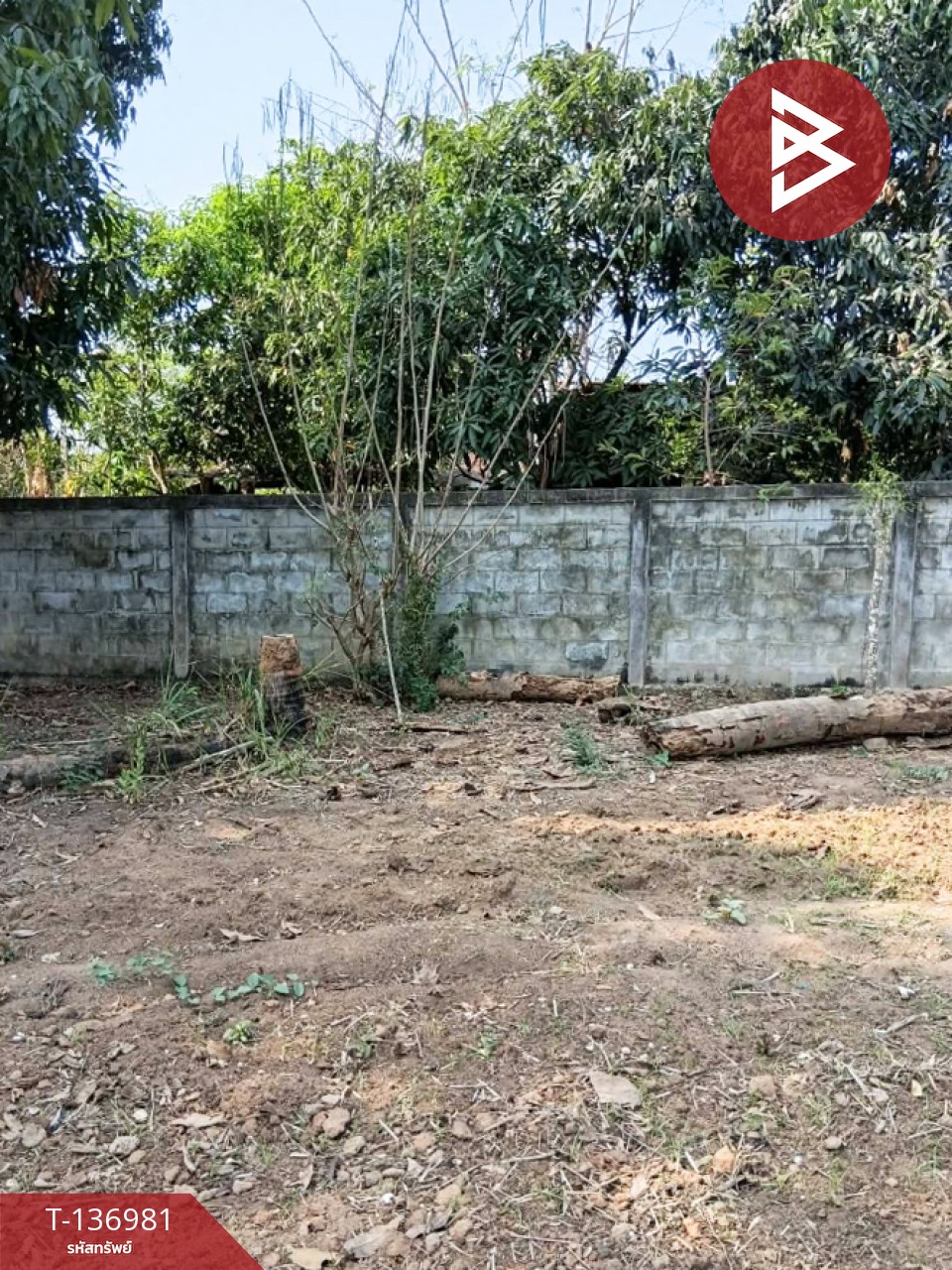 ขายด่วนบ้านเดี่ยวพร้อมที่ดิน เนื้อที่ 183 ตารางวา อ.แม่พริก ลำปาง 13