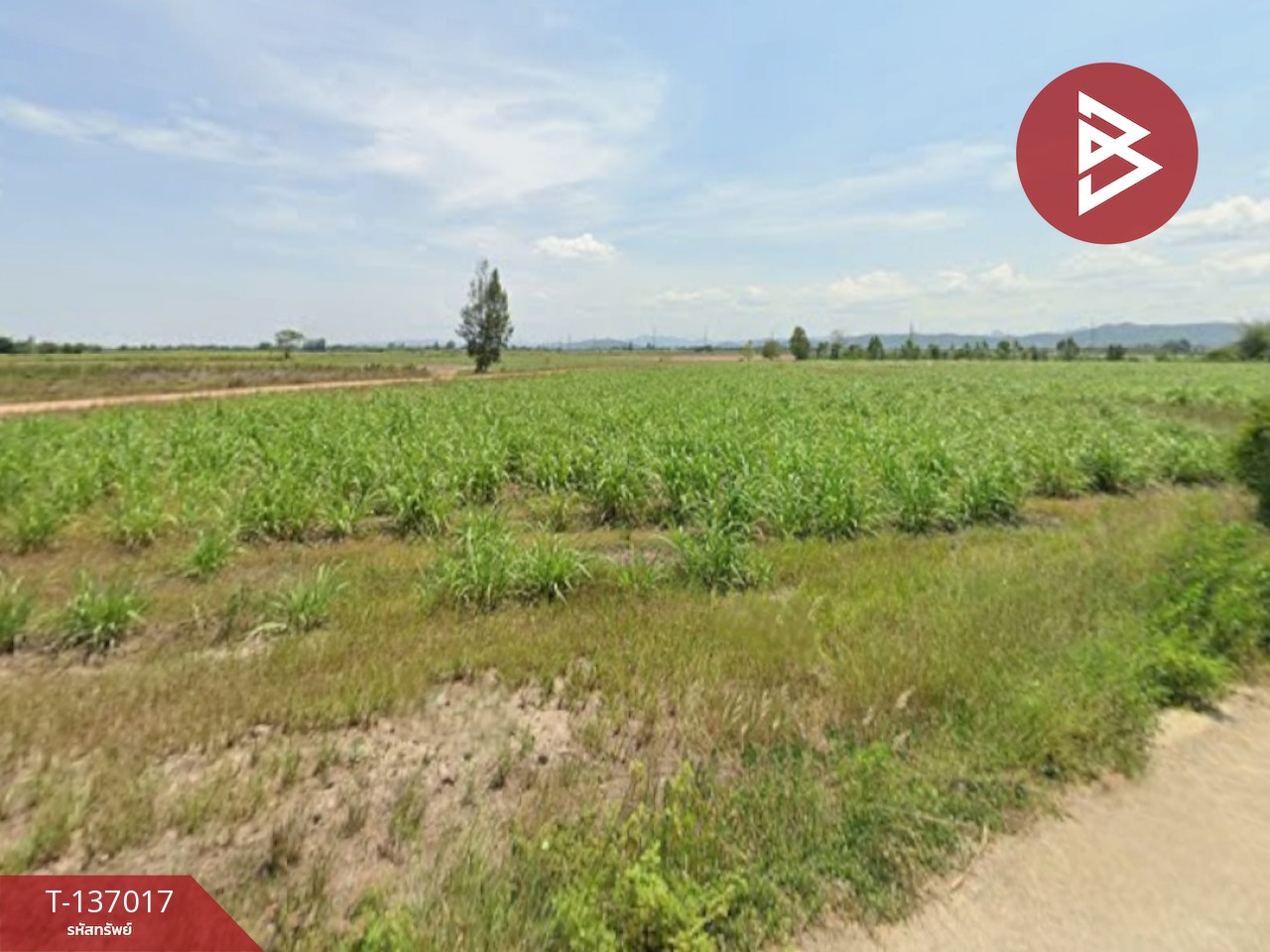 ขายที่ดิน เนื้อที่ 1 ไร่ ชะอำ เพชรบุรี 2