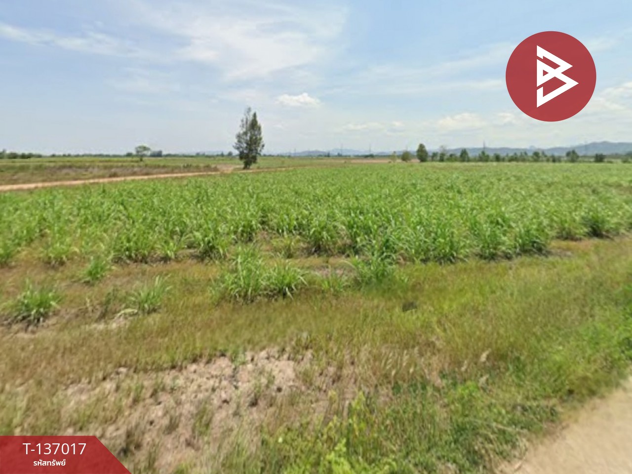 ขายที่ดิน เนื้อที่ 1 ไร่ ชะอำ เพชรบุรี 1