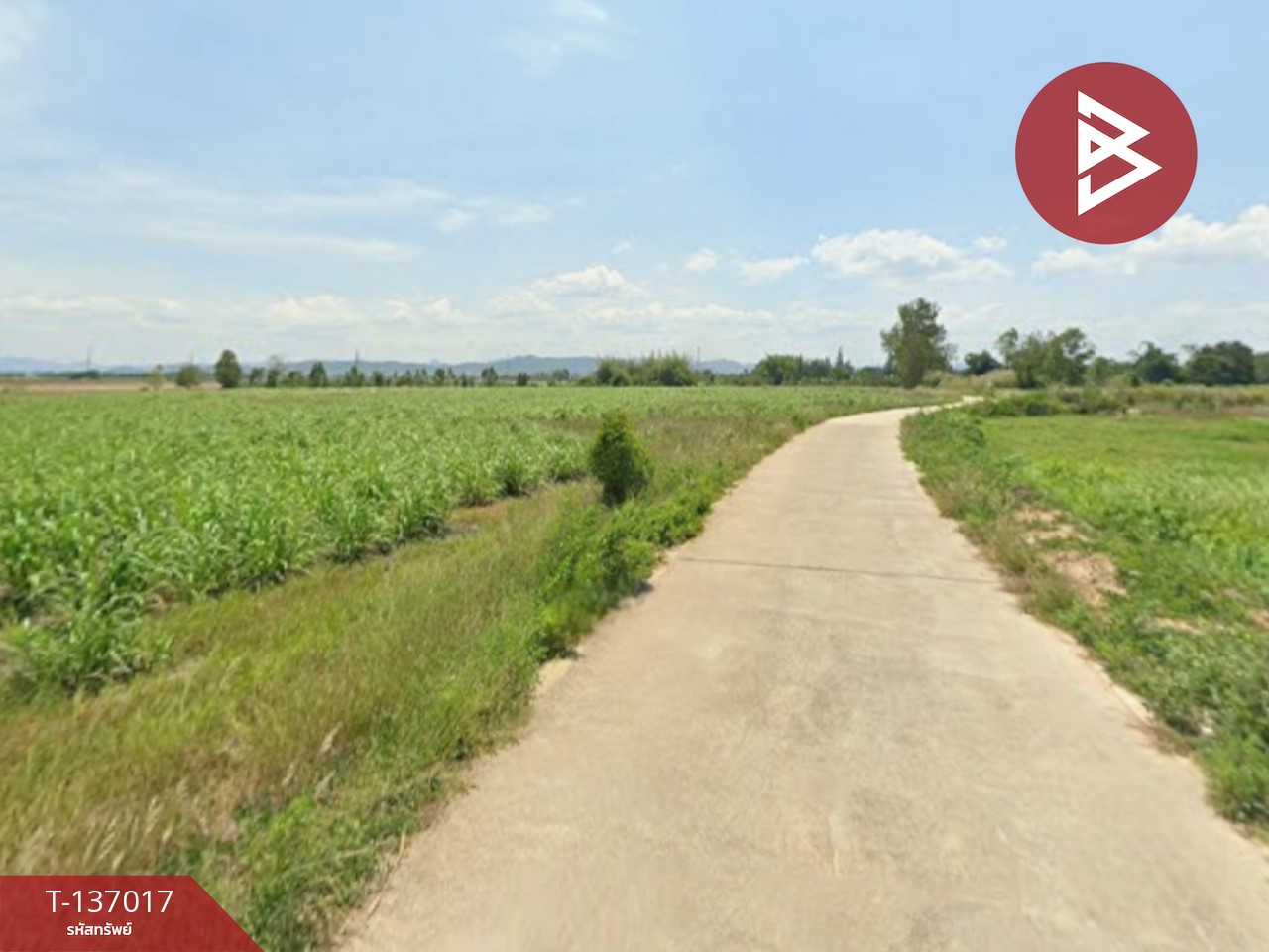 ขายที่ดิน เนื้อที่ 1 ไร่ ชะอำ เพชรบุรี 4