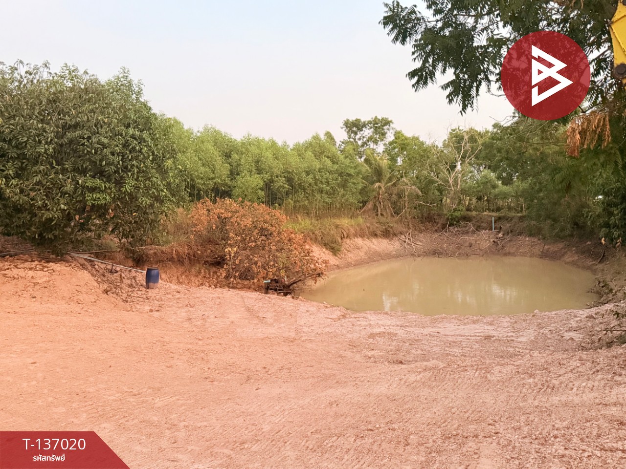 ขายบ้านเดี่ยวพร้อมที่ดิน เนื้อที่ 2 ไร่ 1 งาน 44 ตร.วา นาดี ปราจีนบุรี 12