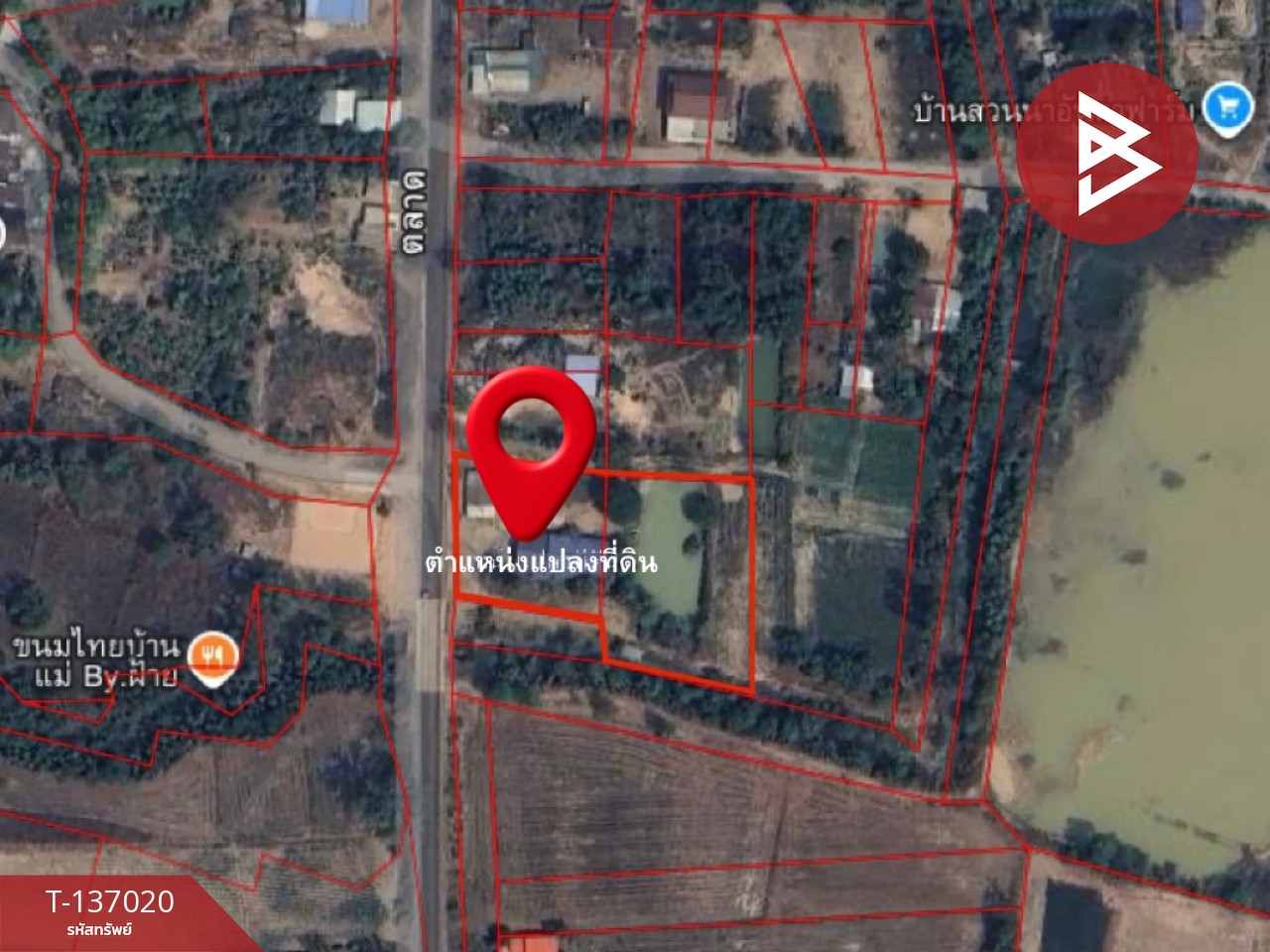 ขายบ้านเดี่ยวพร้อมที่ดิน เนื้อที่ 2 ไร่ 1 งาน 44 ตร.วา นาดี ปราจีนบุรี 13