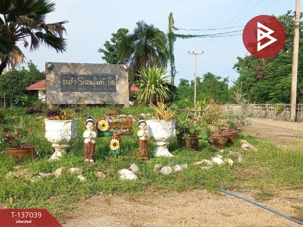 ขายที่ดิน เนื้อที่ 50 ตร.วา ชะอำ เพชรบุรี 9