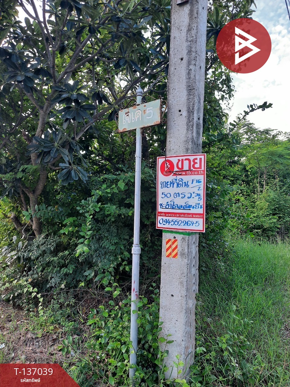 ขายที่ดิน เนื้อที่ 50 ตร.วา ชะอำ เพชรบุรี 4