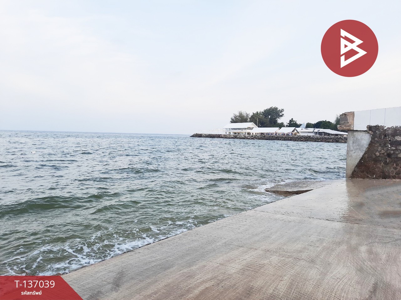 ขายที่ดิน เนื้อที่ 50 ตร.วา ชะอำ เพชรบุรี 7