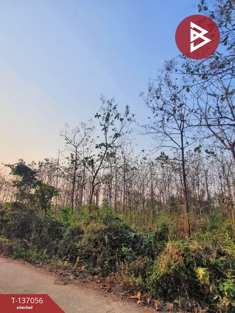 ขายที่ดิน เนื้อที่ 3 ไร่ 1 งาน 73 ตารางวา ต.นาแก้ว อ.เกาะคา จ.ลำปาง 6