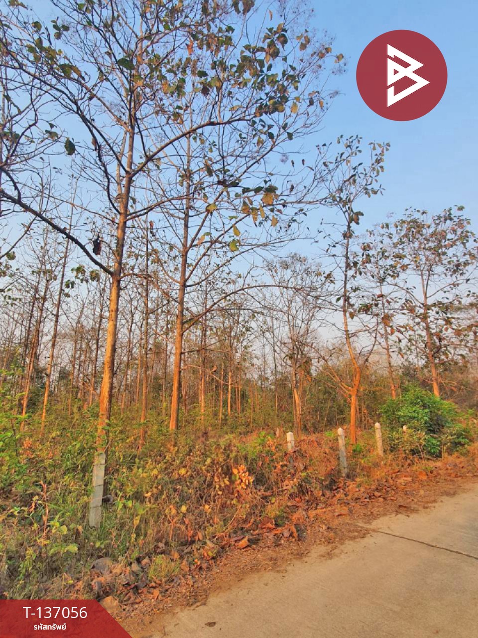 ขายที่ดิน เนื้อที่ 3 ไร่ 1 งาน 73 ตารางวา ต.นาแก้ว อ.เกาะคา จ.ลำปาง 4