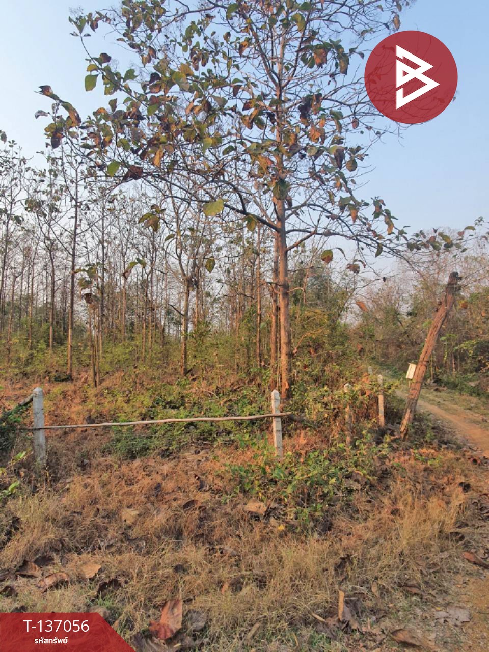 ขายที่ดิน เนื้อที่ 3 ไร่ 1 งาน 73 ตารางวา ต.นาแก้ว อ.เกาะคา จ.ลำปาง 3