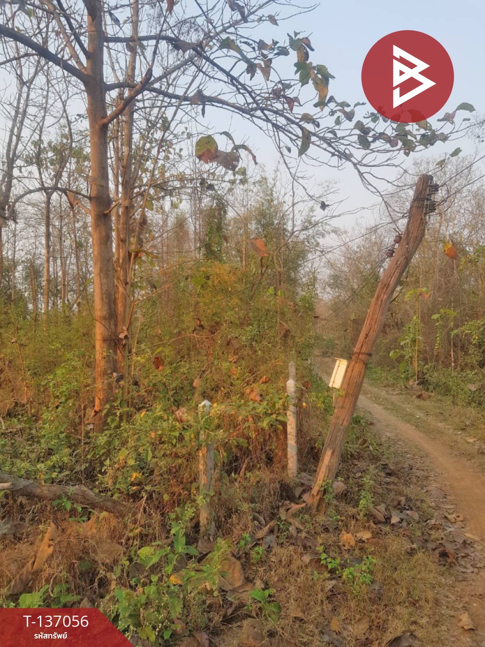 ขายที่ดิน เนื้อที่ 3 ไร่ 1 งาน 73 ตารางวา ต.นาแก้ว อ.เกาะคา จ.ลำปาง 2