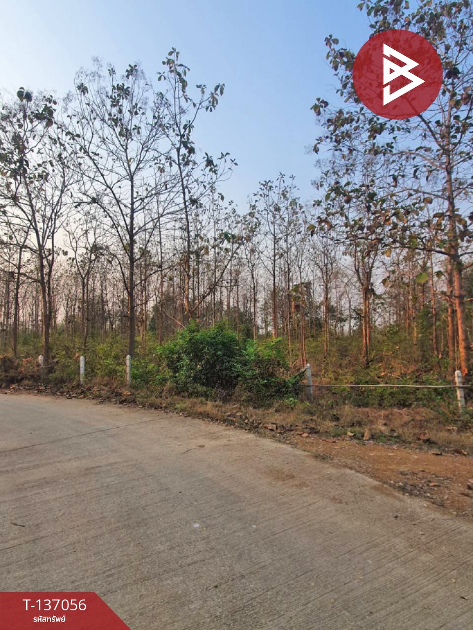 ขายที่ดิน เนื้อที่ 3 ไร่ 1 งาน 73 ตารางวา ต.นาแก้ว อ.เกาะคา จ.ลำปาง 1