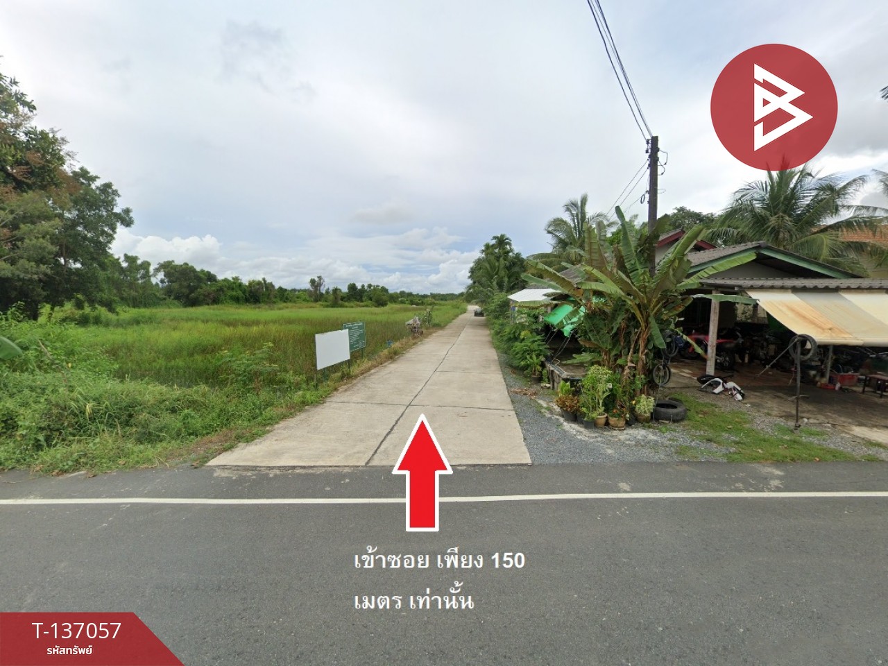 ขายที่ดิน เนื้อที่ 1 งาน 5.5 ตร.วา หนองบัว จันทบุรี 3