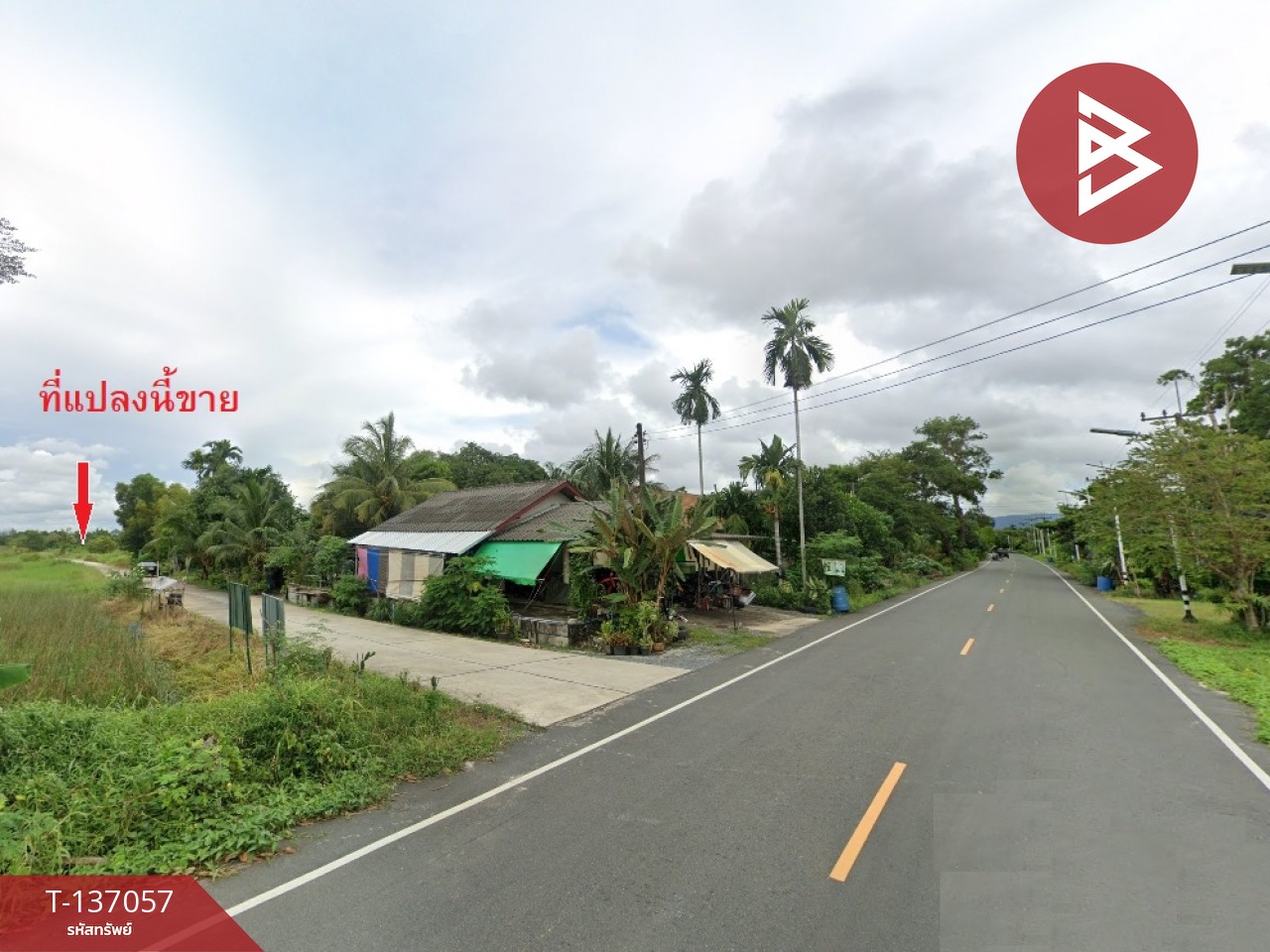 ขายที่ดิน เนื้อที่ 1 งาน 5.5 ตร.วา หนองบัว จันทบุรี 4