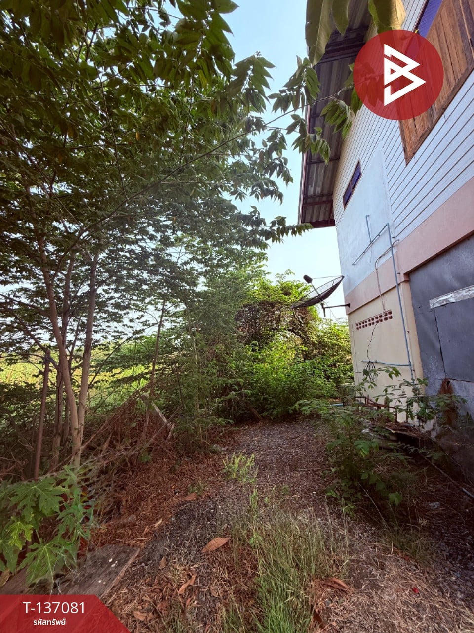 ขายบ้านเดี่ยวพร้อมที่ดิน เนื้อที่ 1 งาน ป่าตาล ลพบุรี 13