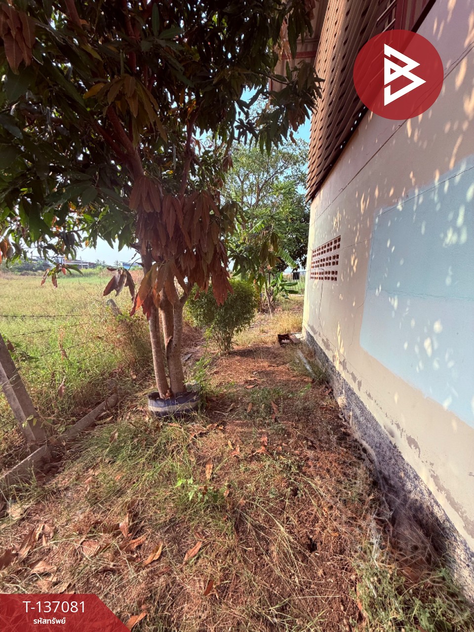 ขายบ้านเดี่ยวพร้อมที่ดิน เนื้อที่ 1 งาน ป่าตาล ลพบุรี 11