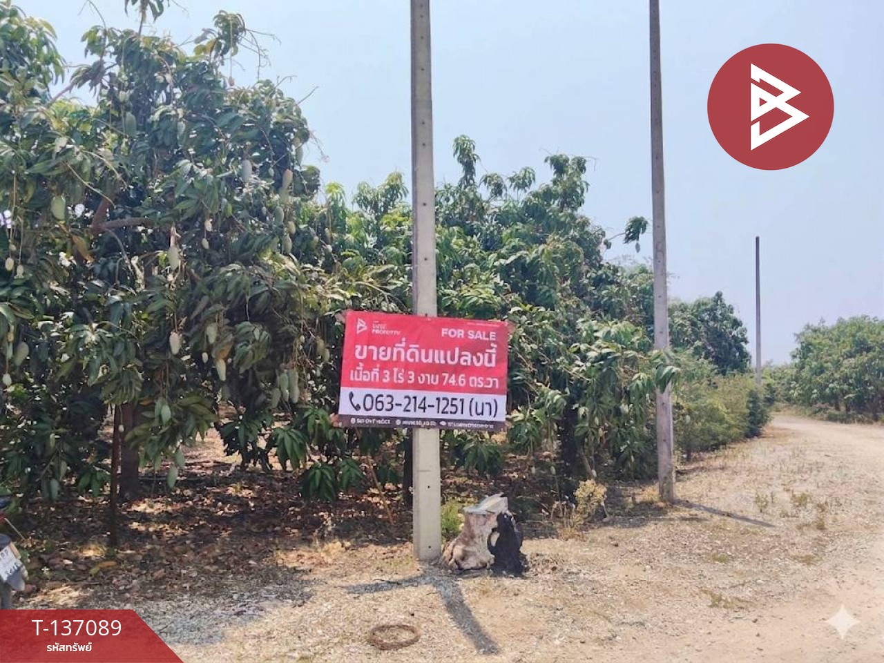 ขายที่ดิน เนื้อที่ 3 ไร่ 3 งาน 74.6 ตารางวา บ้านโฮ่ง ลำพูน 6