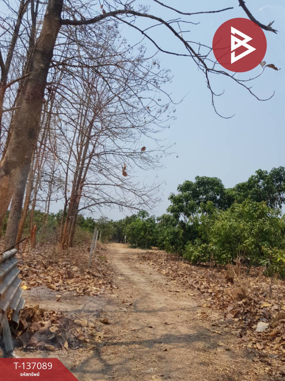 ขายที่ดิน เนื้อที่ 3 ไร่ 3 งาน 74.6 ตารางวา บ้านโฮ่ง ลำพูน 2