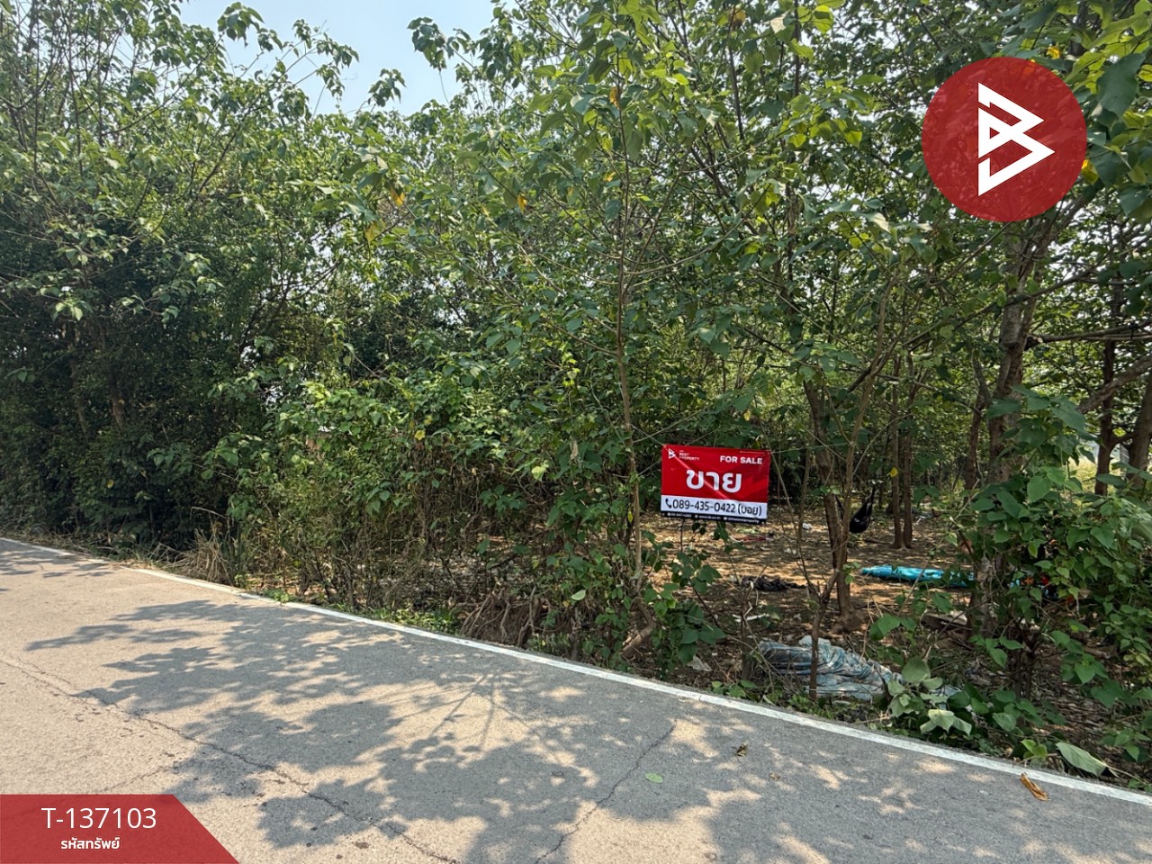 ขายที่ดิน เนื้อที่ 3 งาน 96 ตร.วา หางดง เชียงใหม่ 1