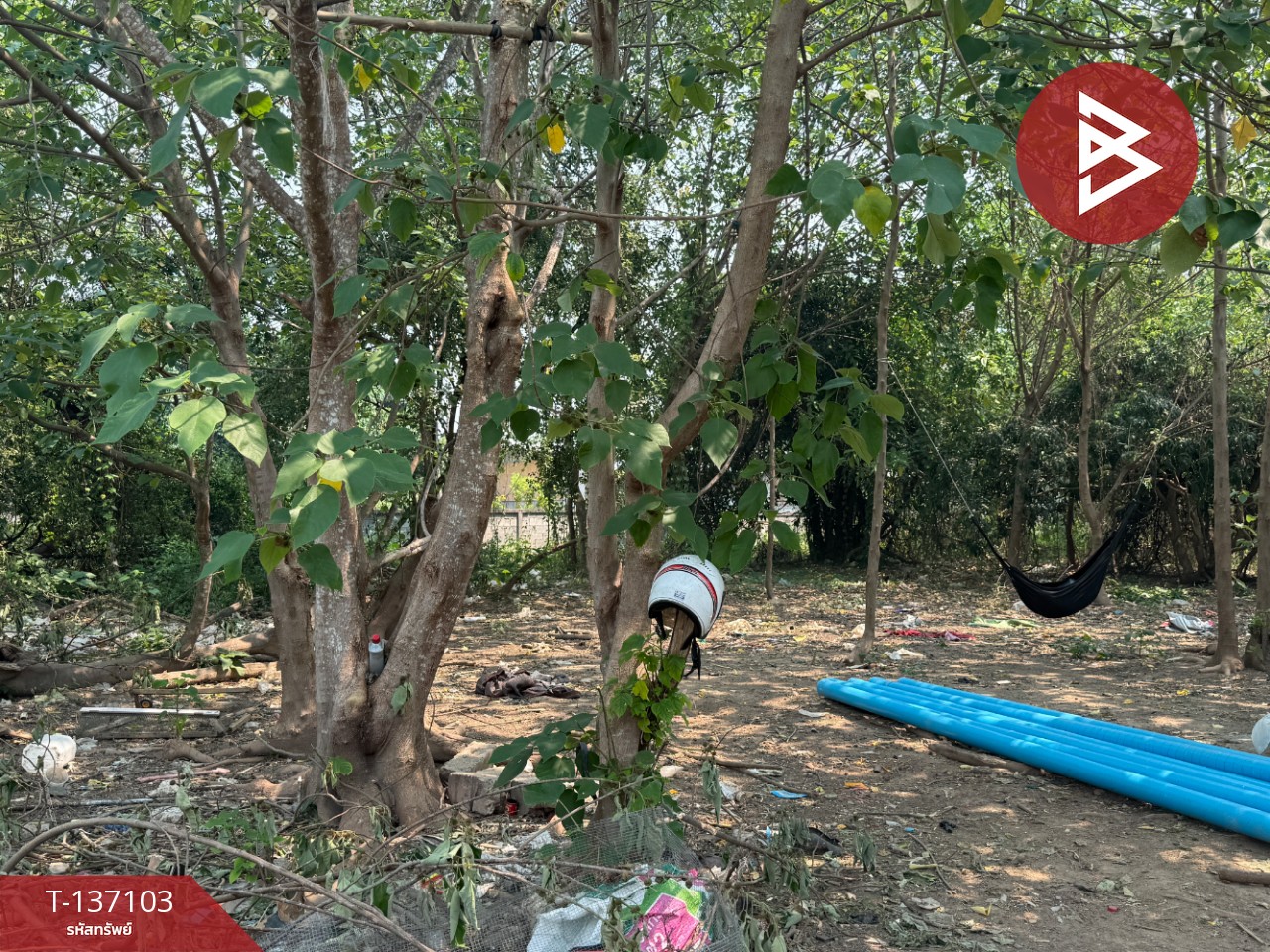 ขายที่ดิน เนื้อที่ 3 งาน 96 ตร.วา หางดง เชียงใหม่ 8